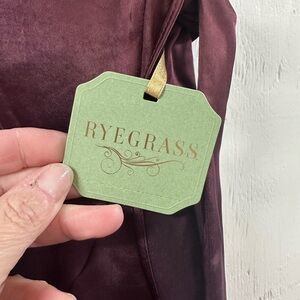 Rygrass Burgundy Velvet Dress